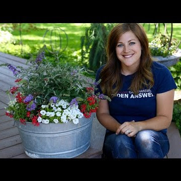 Planting in a Galvanized Container