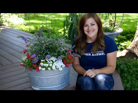 Planting in a Galvanized Container