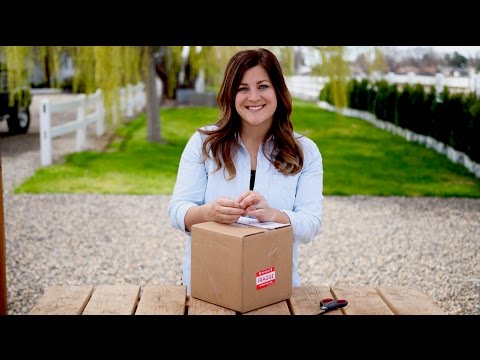 Unboxing 20 Succulents From Amazon