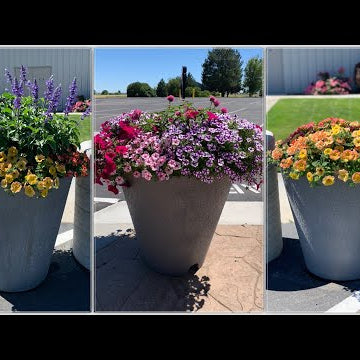 Update on Our Container Competition!