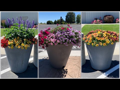Update on Our Container Competition!