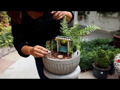 Gender Reveal Miniature Garden!