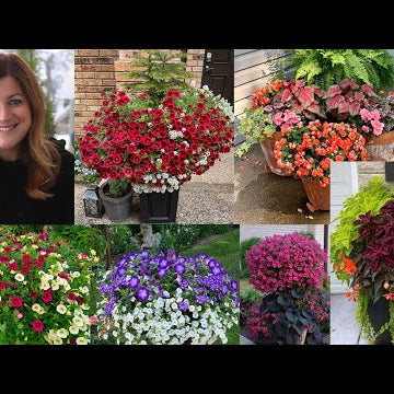 Summer Flower Combination Ideas