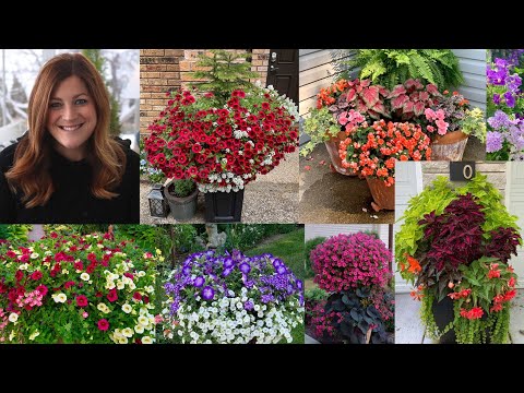 Summer Flower Combination Ideas