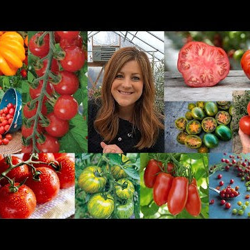 Tomato Planting Basics + The 26 Varieties We’re Growing From Seed This Year!