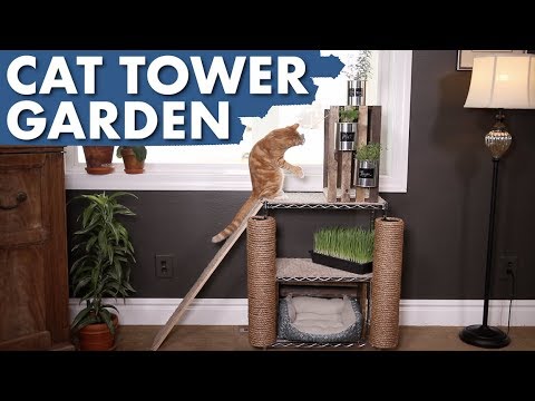 DIY Cat Tower Garden