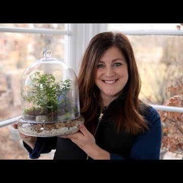 Putting Together a Terrarium with Ferns!