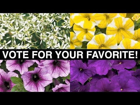 Vote for the Plant of the Year