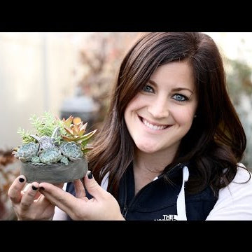 How to Make a Mini Fairy Garden (Full Version)