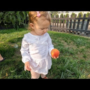 Picking Nectarines & Trimming Boxwoods!
