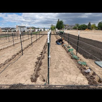 Planting 288 Dahlias & 75 Gladiolus!!!