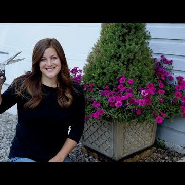 How to Trim Annuals Mid-Season