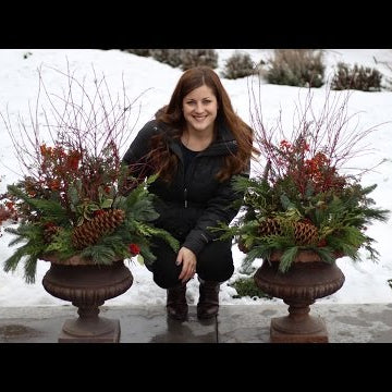 How to Make a Winter Planter