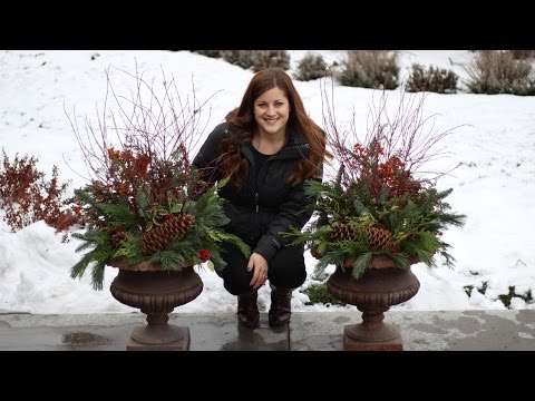 How to Make a Winter Planter