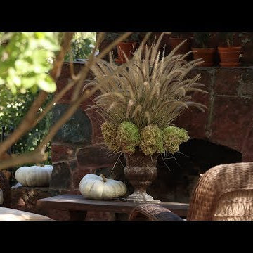 3 Things I do with Annuals Grasses at the End of the Season!