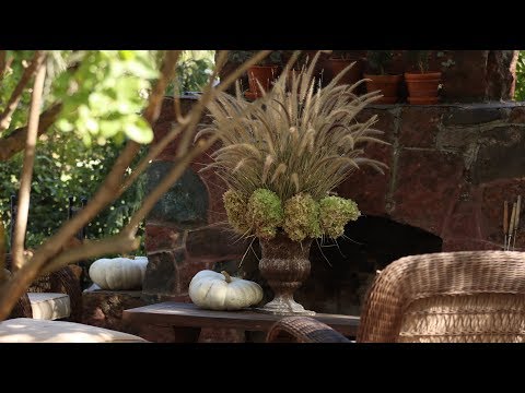 3 Things I do with Annuals Grasses at the End of the Season!