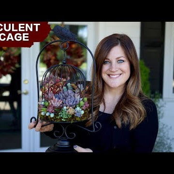 Succulent Birdcage