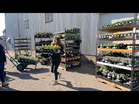 New Plant Load at the Garden Center!