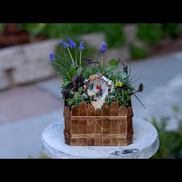 Making a Miniature Garden Out of Things You Might Already Have on Hand!