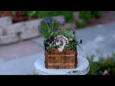 Making a Miniature Garden Out of Things You Might Already Have on Hand!