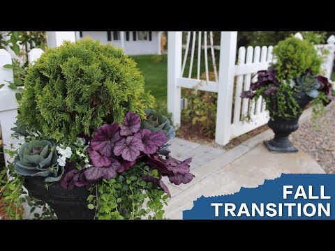 Planting Some Fall Containers