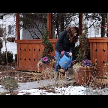 How I Water in the Winter!