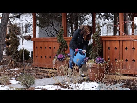 How I Water in the Winter!