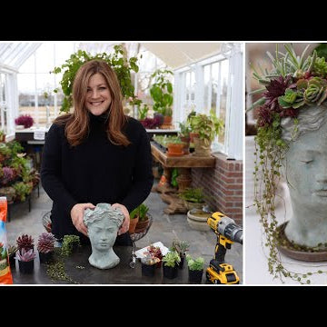 Planting a Succulent Head Planter!
