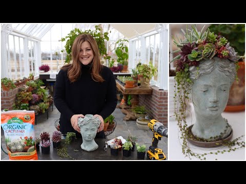 Planting a Succulent Head Planter!