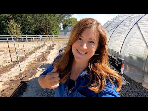 Planting 30 More Tomatoes (Trying out the Florida Weave Staking System!