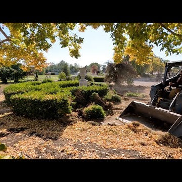Hartley Landscaping & Back Garden Update Tour + Planting Garlic!