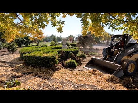 Hartley Landscaping & Back Garden Update Tour + Planting Garlic!