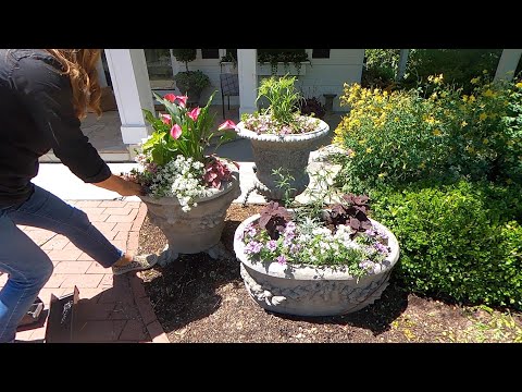Feeling a Little Behind Planting My Home Containers!