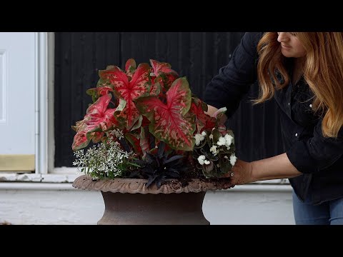 Planting the Barn & Shade Porch Pots!
