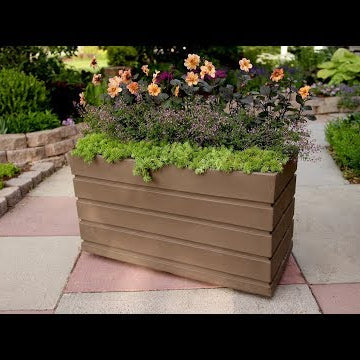 Planting in a Rectangular Container