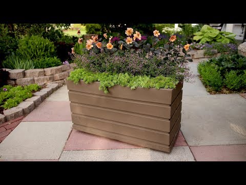 Planting in a Rectangular Container