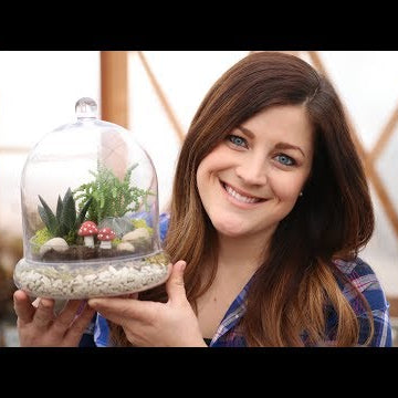 Succulent Terrarium | Trying Out Hydro Stones
