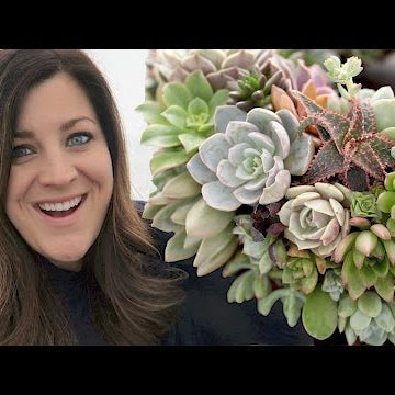 Making a Succulent Wreath VLOG