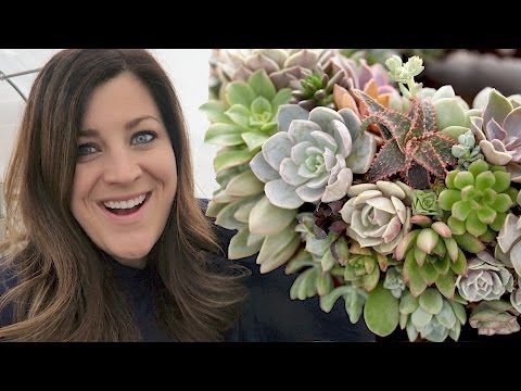 Making a Succulent Wreath VLOG
