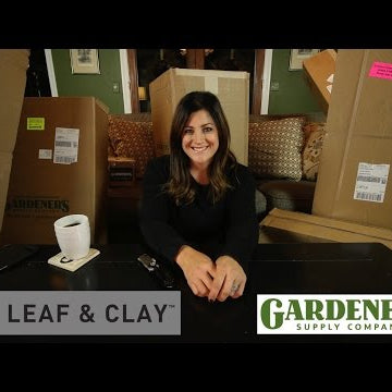 Unboxing Grow Lights & Succulents