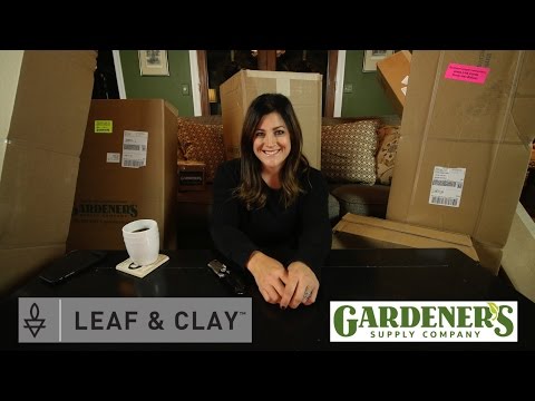 Unboxing Grow Lights & Succulents