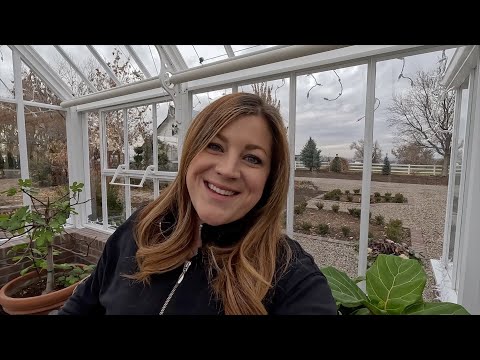 Lawn/Tomato Update, Planting Crocus & Gardener’s Supply Unboxing!
