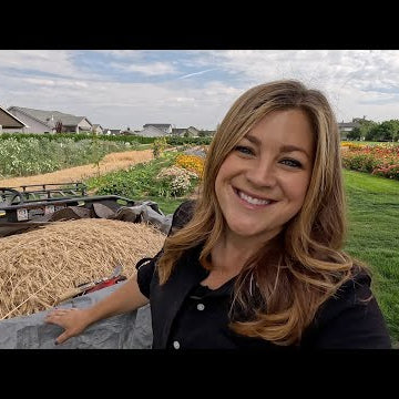 Harvesting Our Wheat & Turning it Into Flour!