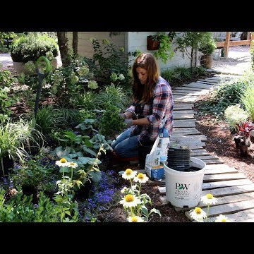 Pallet Walkway Plant Tour