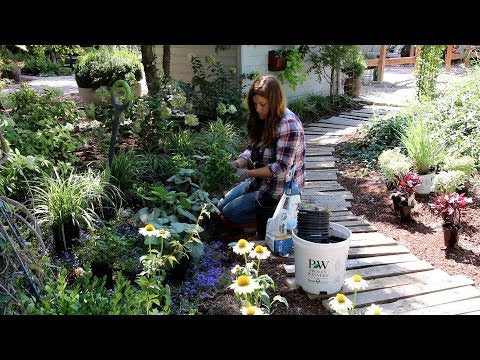 Pallet Walkway Plant Tour