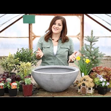 Spring Fairy Garden (Full Version)