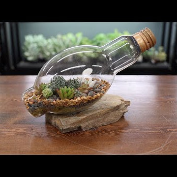 Succulents in a Lightbulb!