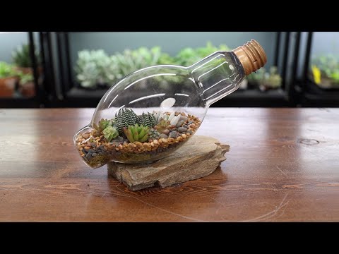 Succulents in a Lightbulb!