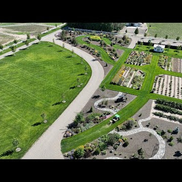 Raspberry Harvest + Jam, Planting Some 2024 Shrubs & Aaron Talks Lawn Fertilizer!