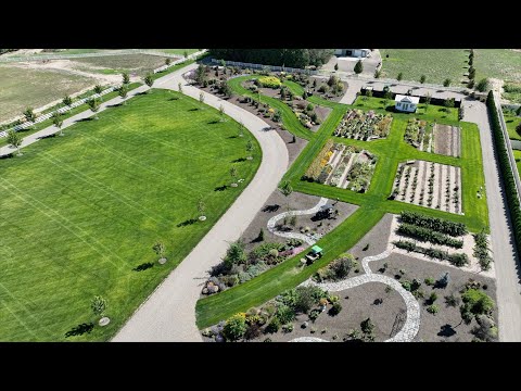 Raspberry Harvest + Jam, Planting Some 2024 Shrubs & Aaron Talks Lawn Fertilizer!